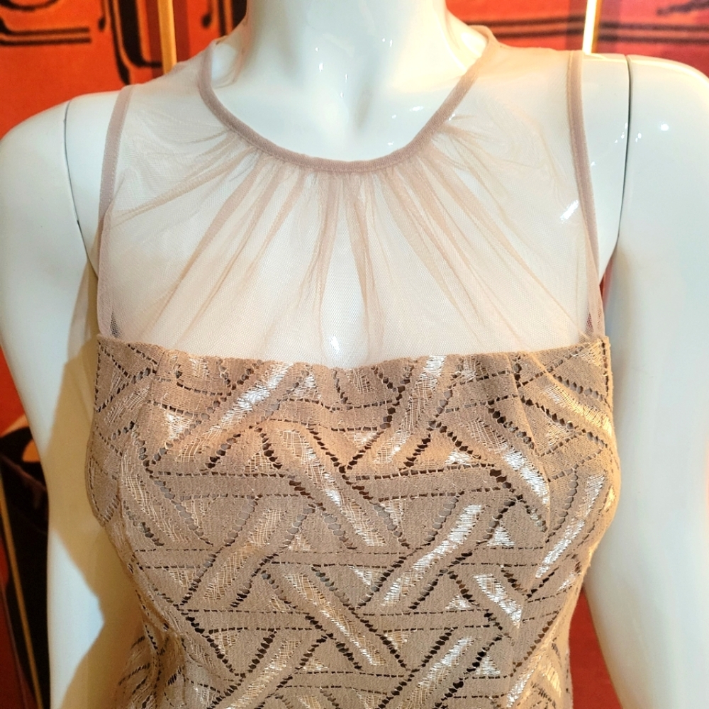 Sheath llusion Dress